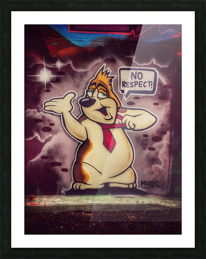 No Respect Picture Frame print