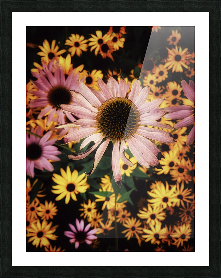 Flower Power Picture Frame print