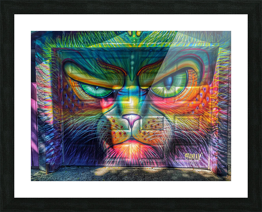 Graffiti Cat Picture Frame print