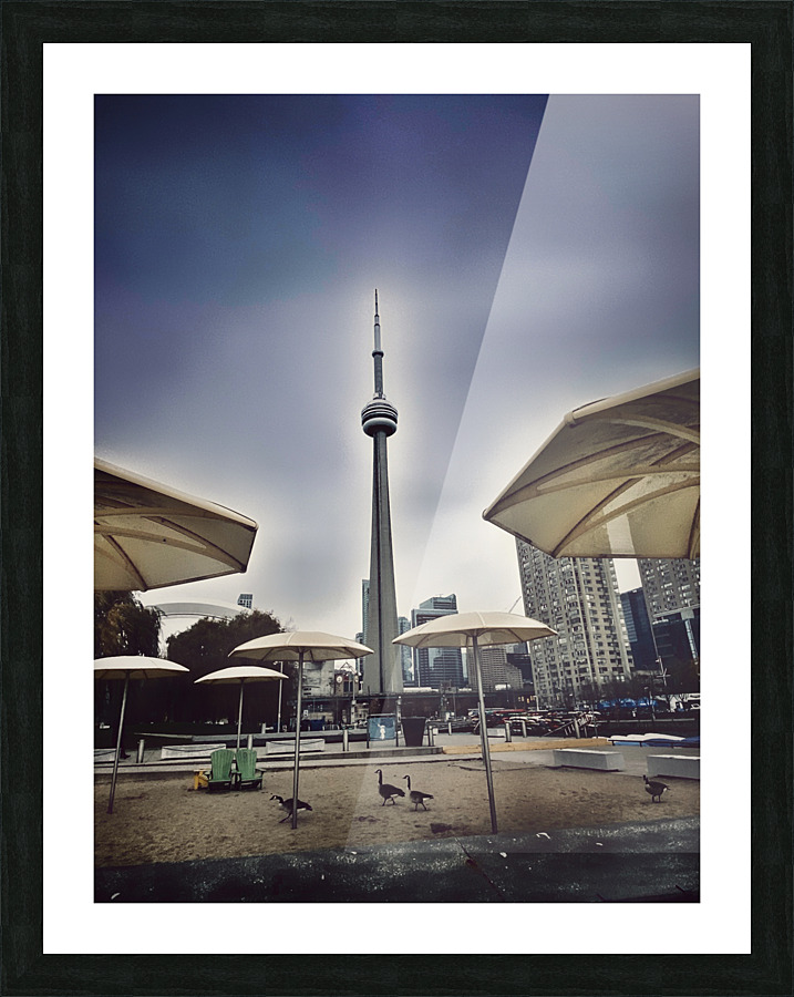 Toronto Harbour View  Picture Frame print