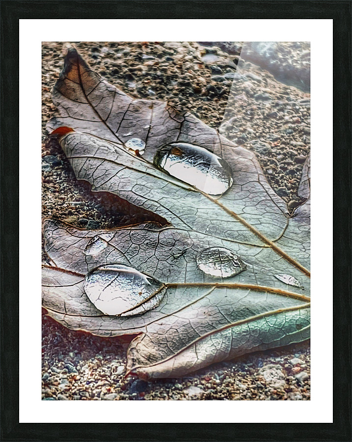 Early Rain Picture Frame print