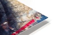The Straight Eye HD Metal print