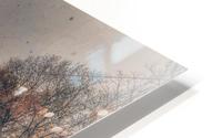 The Right Track HD Metal print