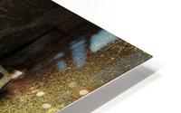 Bay Street  HD Metal print