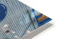 Toronto Lucy  HD Metal print