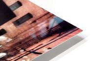 Hey Einstein - Wheres your Mask HD Metal print