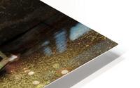 Toronto Bay St. HD Metal print