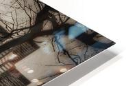 King Walk HD Metal print