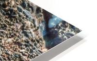 Early Rain HD Metal print