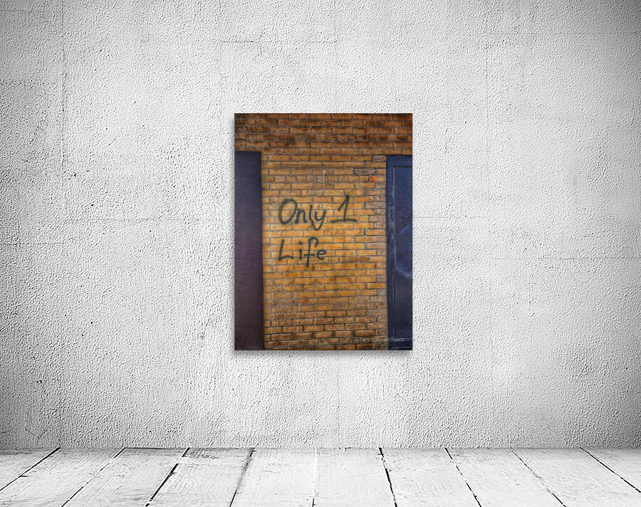 Only 1 Life Wall Preview