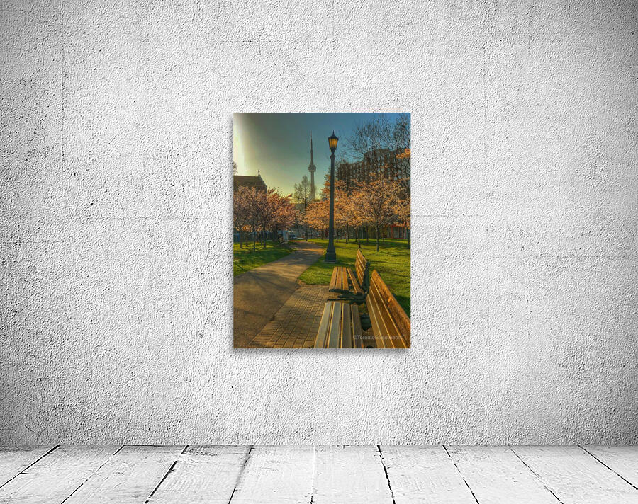Trinity Park  Wall Preview