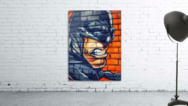 Bat Face Wall Preview