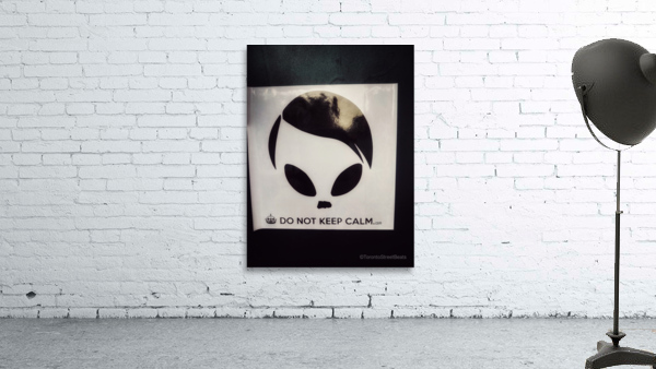 Do Not Keep Calm Wall Preview
