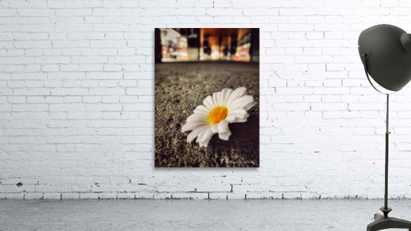 Lost Flower Wall Preview