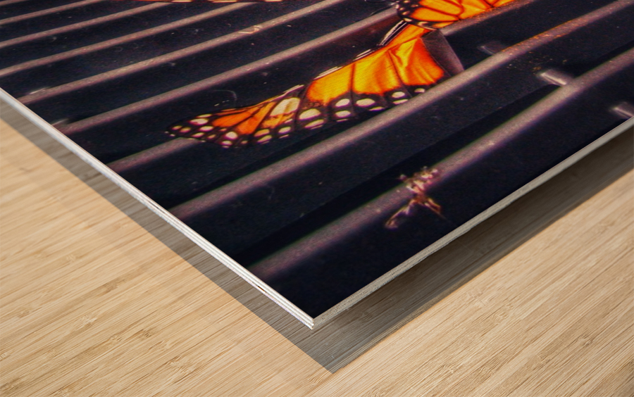 Natures Last Stand Wood print