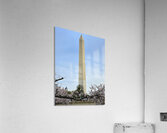 1000048197 Acrylic Print