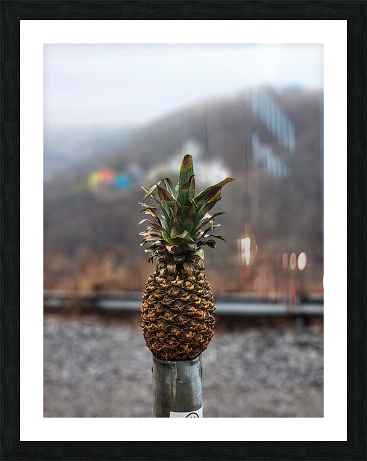 Pineapple by the Mon Picture Frame print