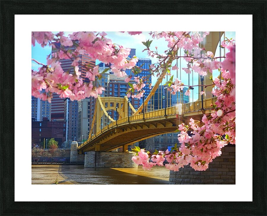 Blossoms and bridge Picture Frame print