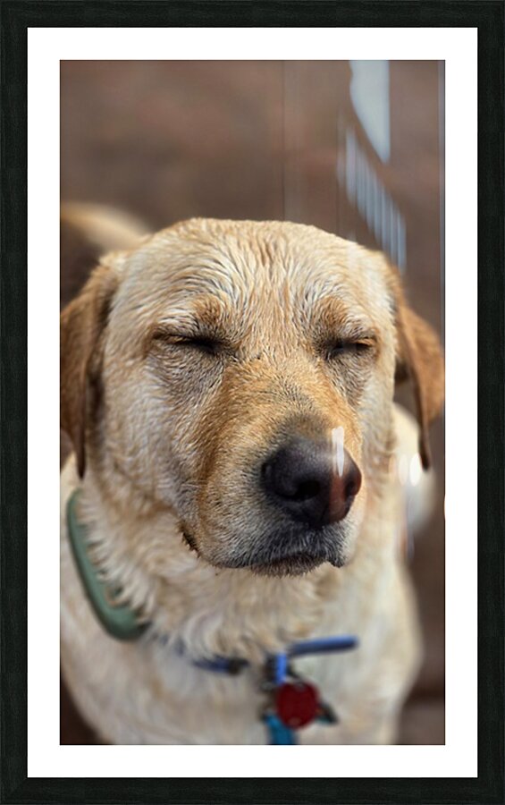 Content Cooper Picture Frame print