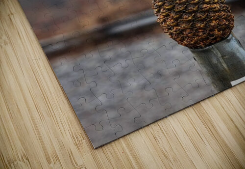 Pineapple by the Mon Chris Santiago puzzle