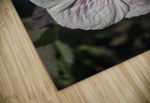 Front hibiscus  Chris Santiago puzzle