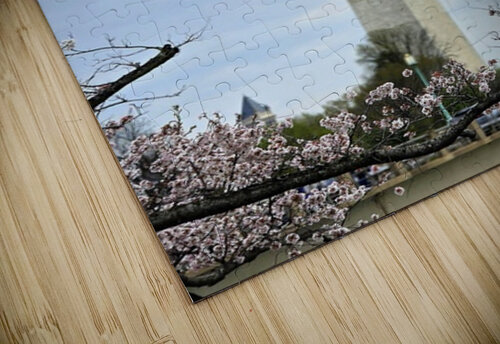 1000048197 Chris Santiago puzzle