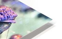 Baby Croc HD Metal print