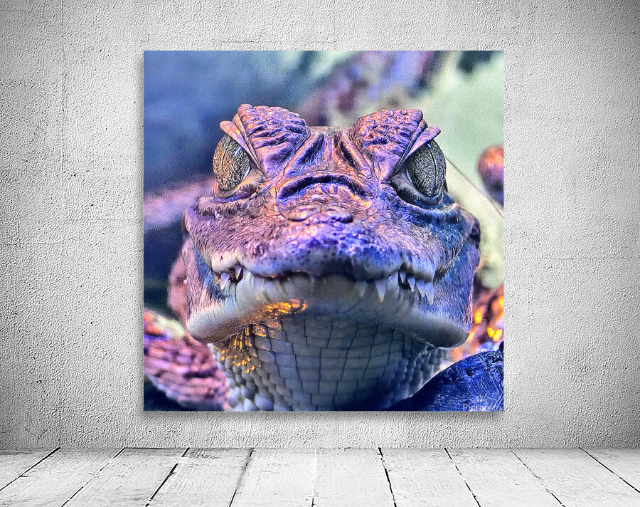 Baby Croc Wall Preview