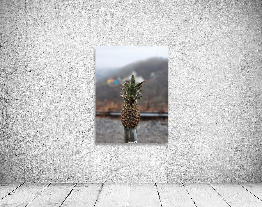 Pineapple by the Mon Wall Preview