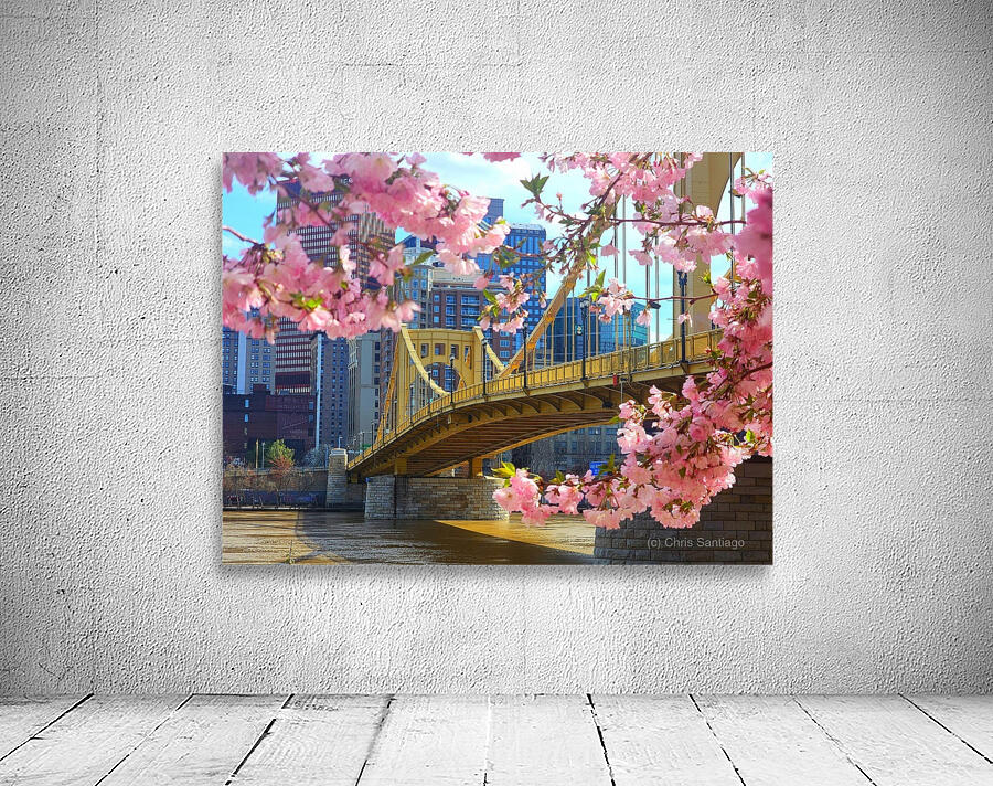 Blossoms and bridge Wall Preview