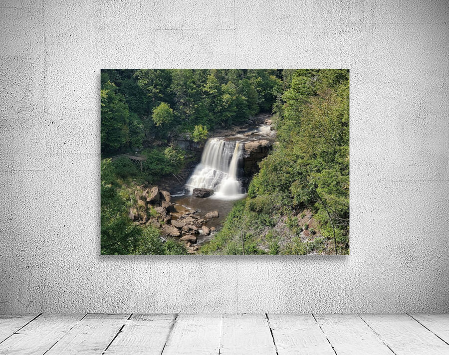 Blackwater Falls Wall Preview