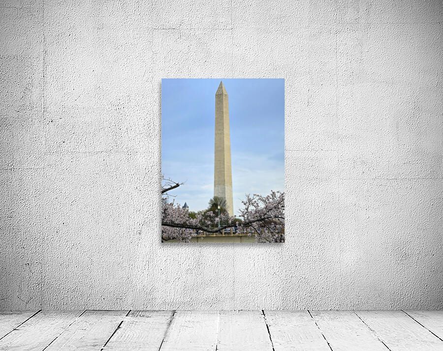 1000048197 Wall Preview