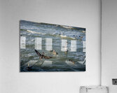 Fashionably Late Acrylic Print