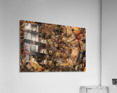 Petrified Wood I Acrylic Print