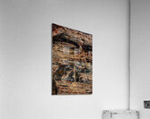 Pertified Wood Acrylic Print