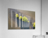 Tranquility II Acrylic Print