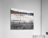 Wild Rasberries Acrylic Print