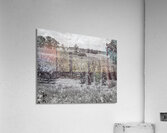 Corn Acrylic Print