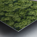 Mangrove Sea Metal print