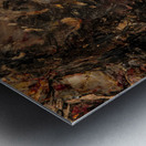 Petrified Wood I Metal print