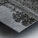 Corn Metal print