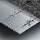 Michigan Metal print