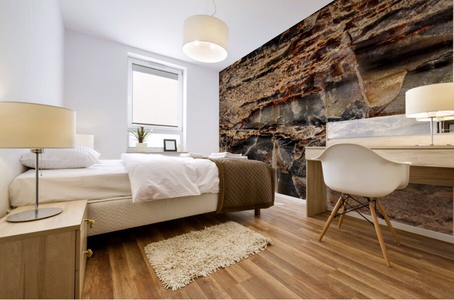 Pertified Wood Mural print