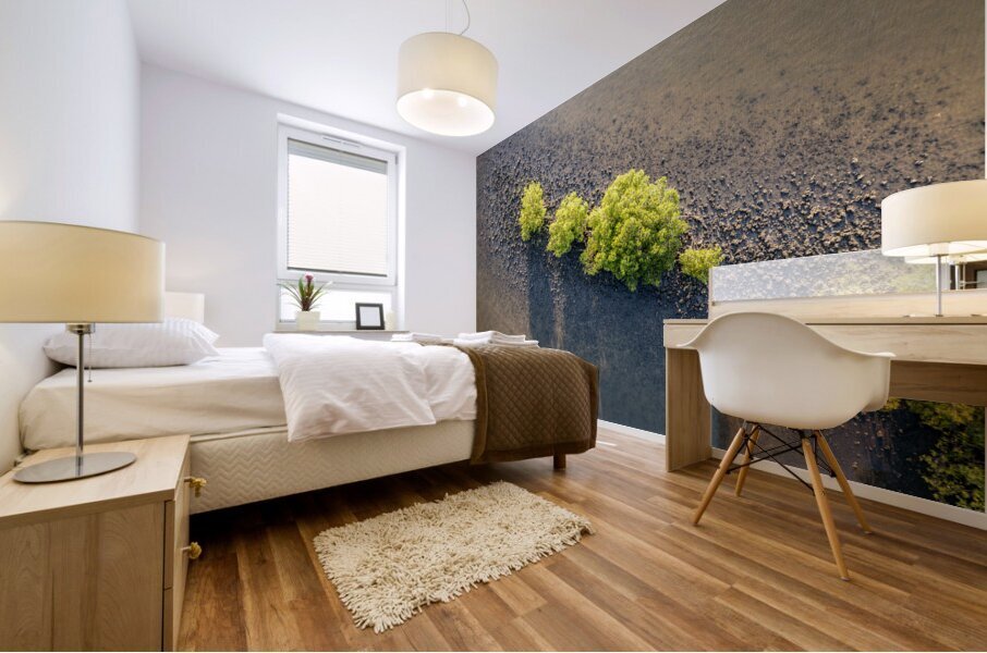 Tranquility II Mural print