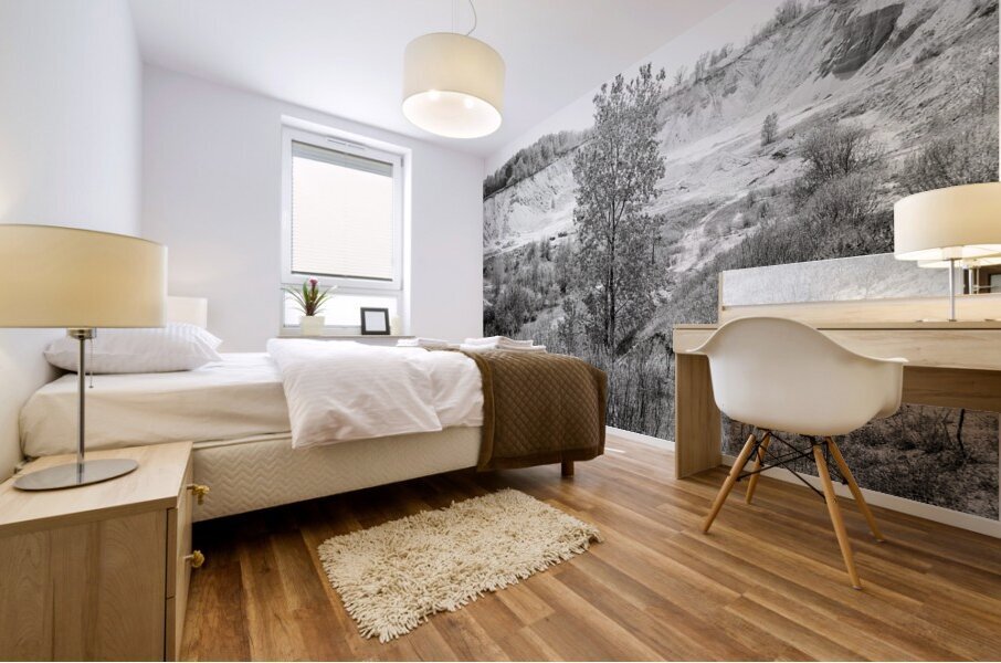 Quarry II Mural print