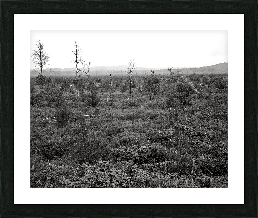 Michigan Picture Frame print