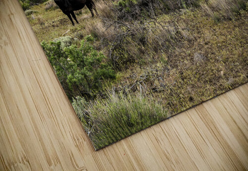 Cow Lick Compass Studios puzzle
