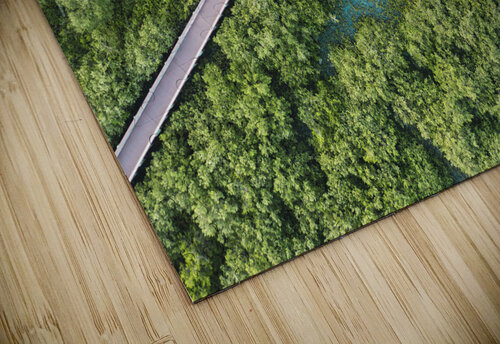 Mangrove Sea Compass Studios puzzle