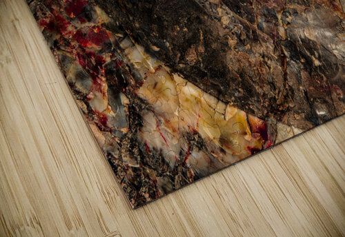 Petrified Wood I Compass Studios puzzle