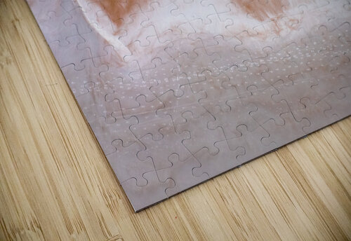 Sleeping Fox Compass Studios puzzle